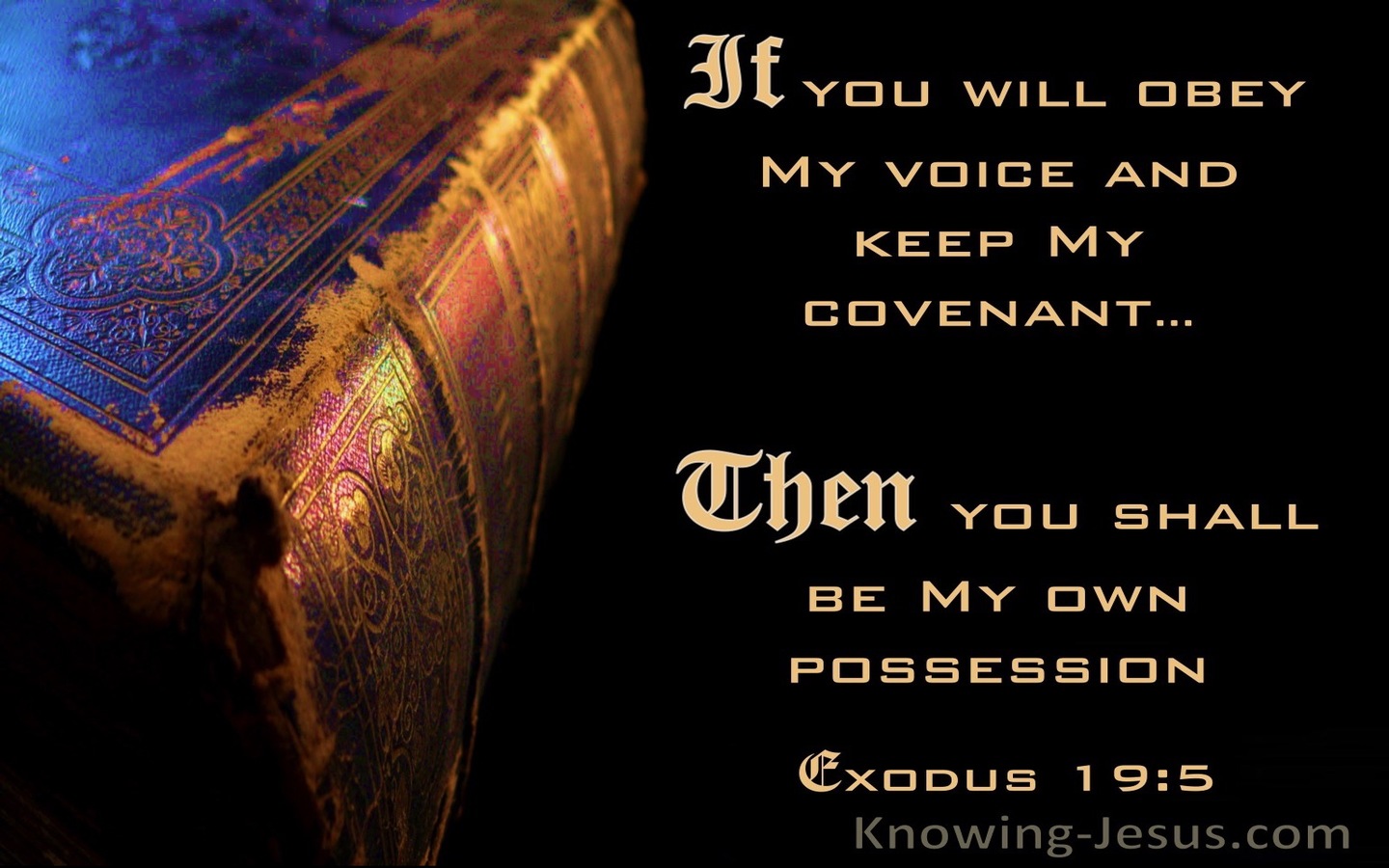 Exodus 19:5 If You Will Obey My Voice Then You Will Be My Possession (blue)
